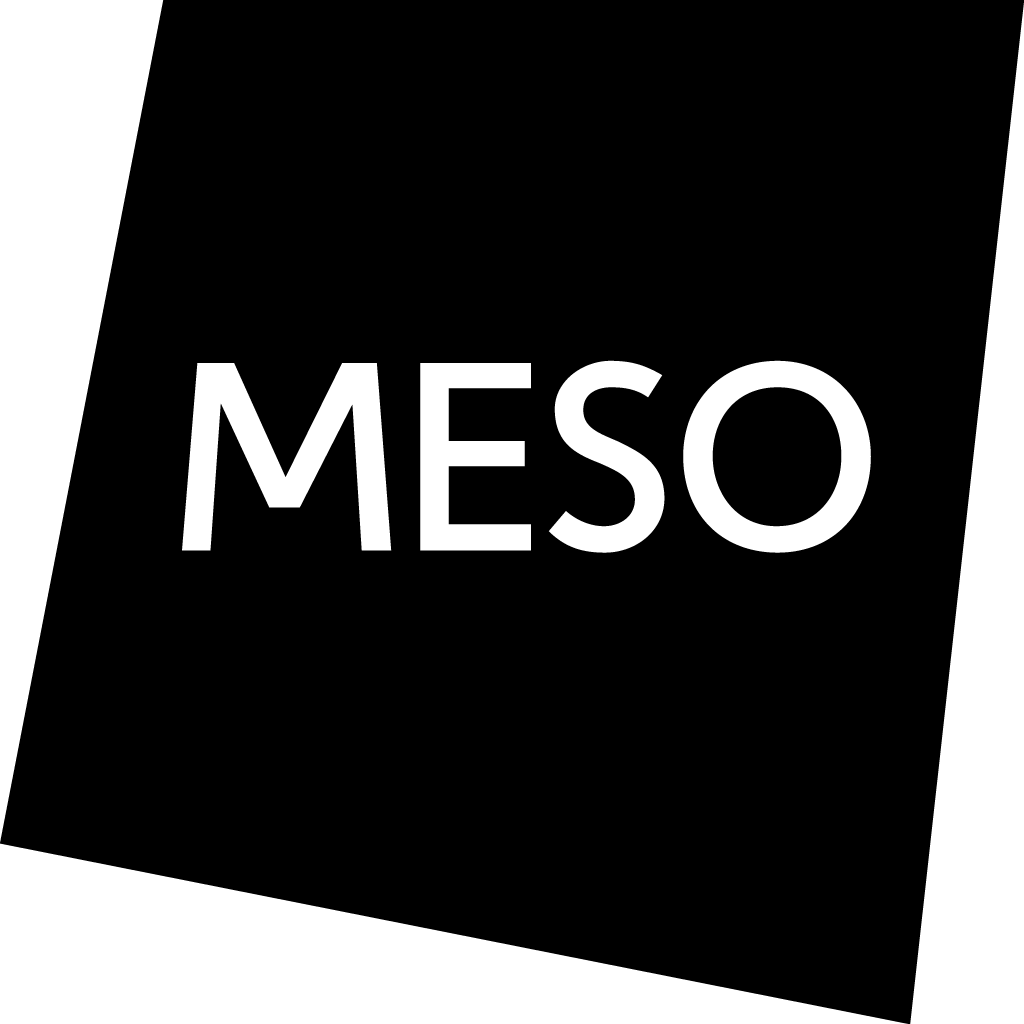 Meso-quad-white-typo